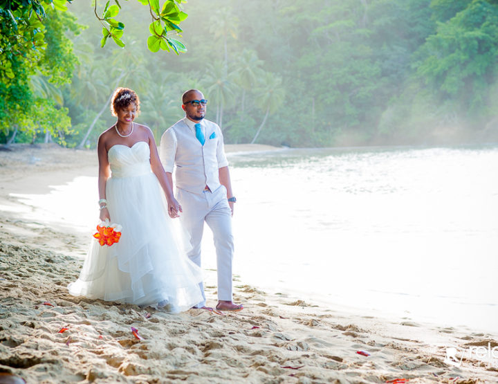 Ian & Tamica | Heavenly Bay Wedding , Castara, Tobago